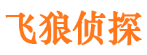 镇平外遇出轨调查取证